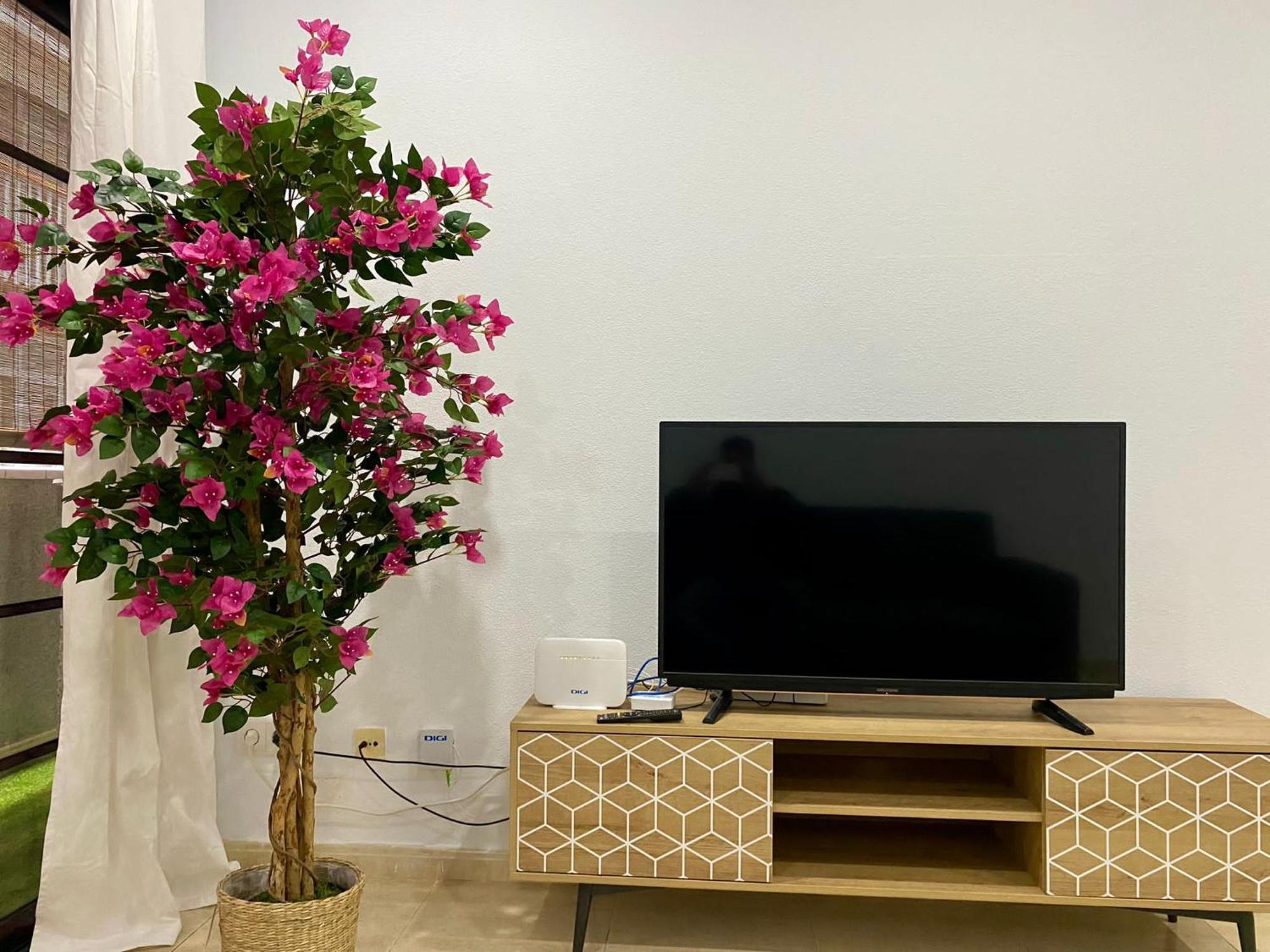شقة Loft Santa Catalina Park II لاس بالماس دي غران كاناريا المظهر الخارجي الصورة